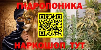 PSILOCYBIN Волжск