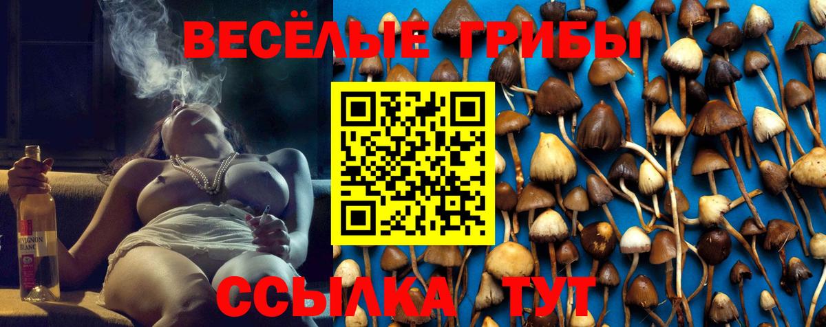 Псилоцибиновые грибы GOLDEN TEACHER  Вход с VPN  Ливны  Галлюциногенные грибы Magic Shrooms 
