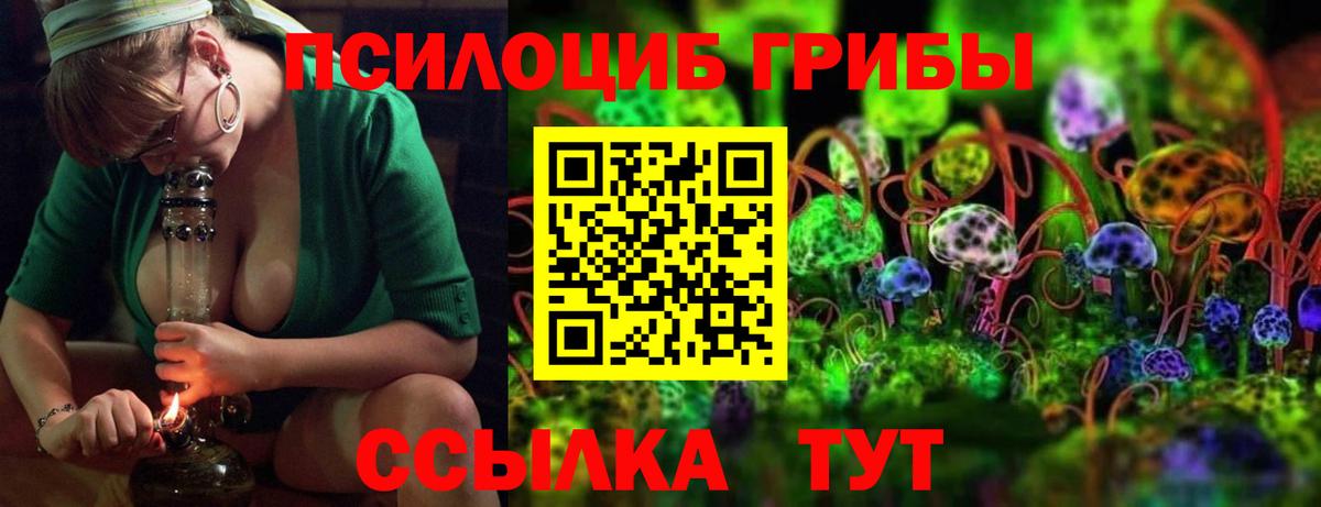 Псилоцибиновые грибы Psilocybine cubensis Ливны